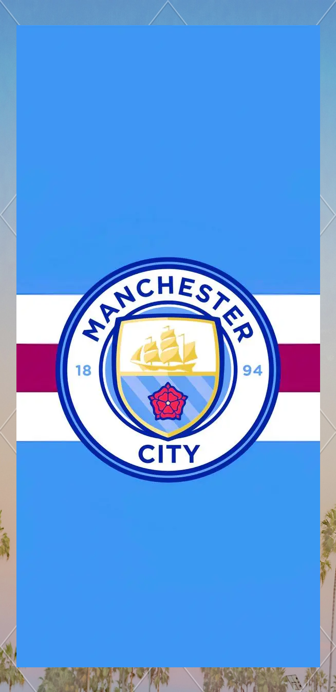 狼堡官方：前拜仁首席球探施维格勒出任俱乐部体育总监（狼堡官宣：前拜仁首席球探施维格勒出任体育总监）