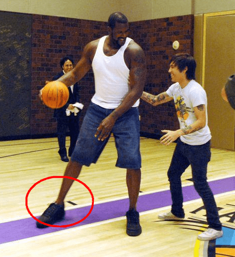 意甲前瞻：佛罗伦萨仍力争首胜，乌迪内斯客战能力一般（意甲前瞻：佛罗伦萨冲击首胜，乌迪内斯客场表现平平）